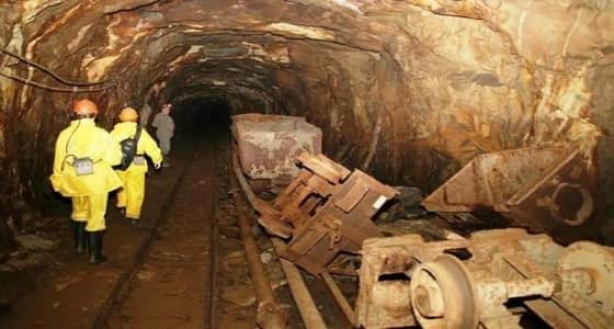 مقتل نحو 30 شخصًا في انهيار أرضي بمنجم ذهب في تشاد