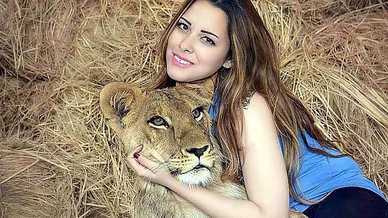 إيقاف تصريح أنوسة كوتة عقب واقعة هجوم نمر على عامل بالسيرك