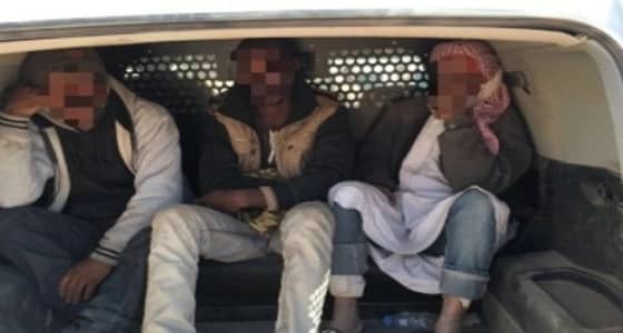 " عمل القطيف " يضبط 12 مخالفًا في جولات تفتيشية