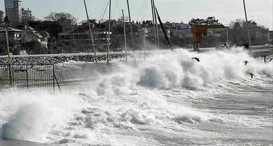 ارتفاع عدد ضحايا إعصار " مدغشقر " إلى 51 قتيلا