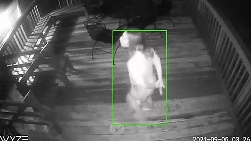 سيدة "زومبي" بملابس بالية تثير الرعب في نفوس سكان مدينة بأكملها