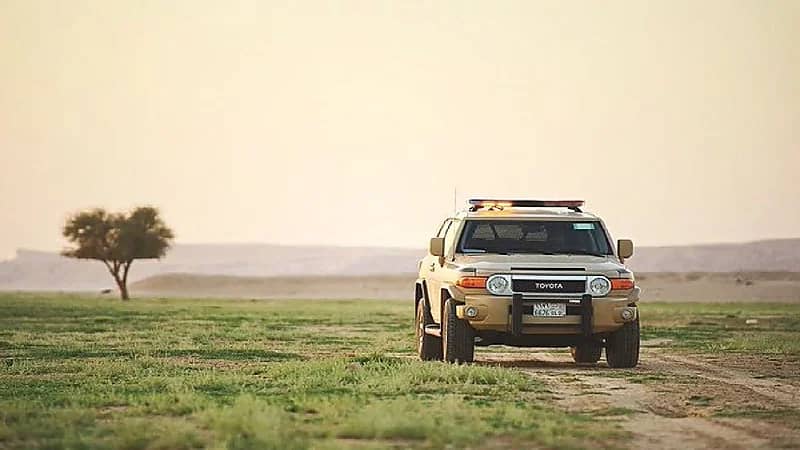 9090a768-bc28-4a51-b1dd-0df89a321611.jpg
