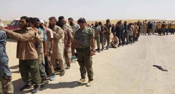 عشرات الحوثيون يسلمون انفسهم إلى الجيش الوطني اليمني