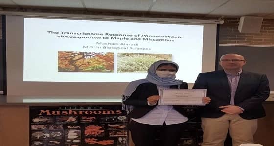 دراسة جديدة تضمن للمملكة المنافسة في سوق الطاقة المتجددة