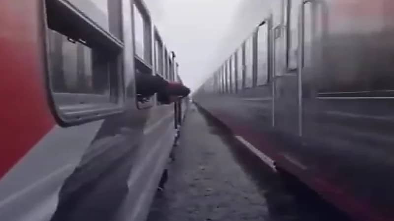 شاهد.. حصان ينجو من موت محتم بعدما حوصر بين قطارين متقابلين