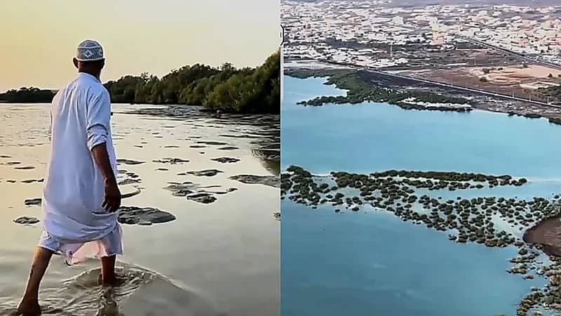 عين ماء عذبة تتدفق من قلب البحر جنوب غرب المملكة.. فيديو