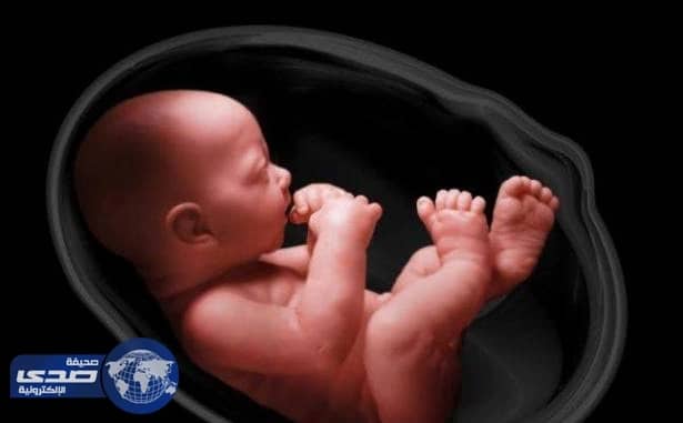 9 أمور يشعر بها الجنين في بطن أمه ..تعرفي عليها