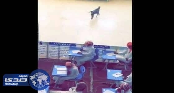 فيديو طريف لماعز تعقب صاحبه حتى قاعة الامتحان