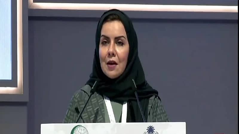 هبة التويجري: حظر فصل المرأة العاملة أثناء الحمل .. فيديو