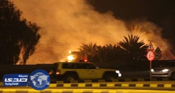 حريق في مزارع الرحيبيين بدومة الجندل