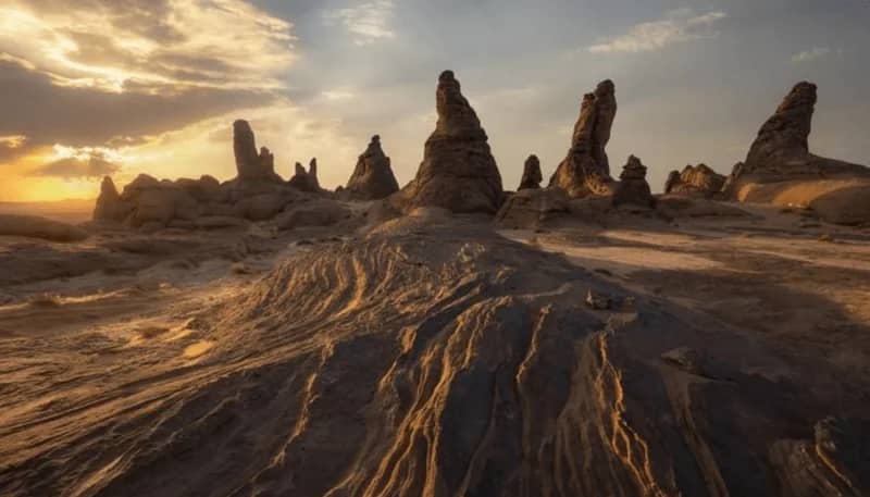 هيئة تطوير محمية الملك سلمان بن عبدالعزيز الملكية تحصل على اعتماد التصنيف الإداري من IUCN