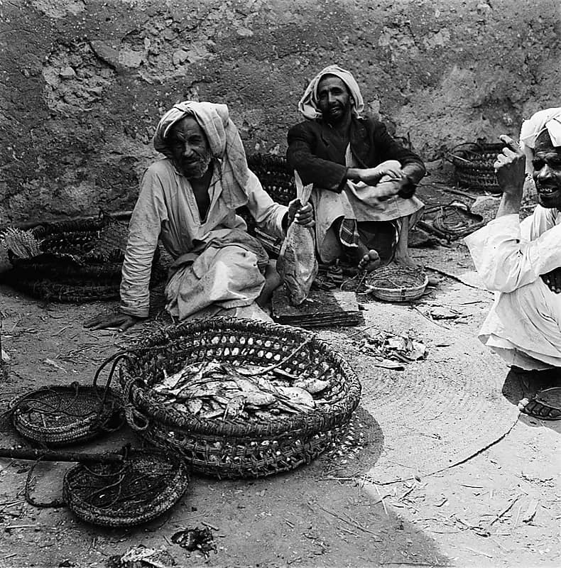 صورة تستحق التأمل لبائع سمك في المنطقة الشرقية