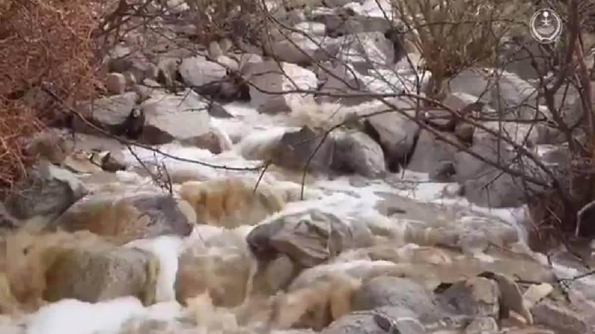 بيان من " المرئي والمسموع " بشأن قيمة تذاكر الأفلام 