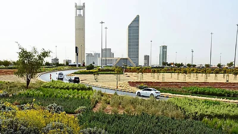برنامج "الرياض الخضراء" يصل إلى حي عرقة