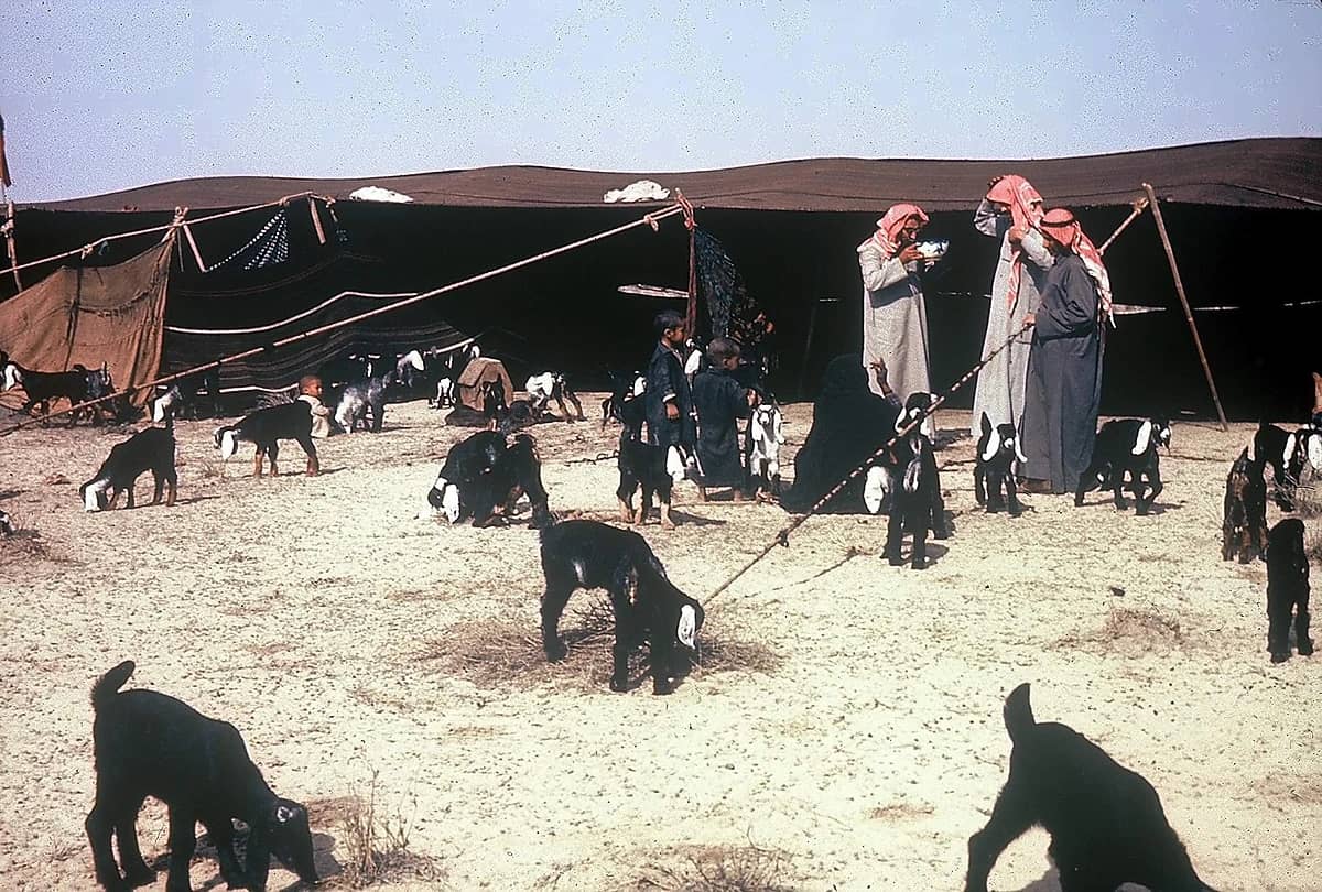 صورة جميلة من  بادية المملكة قبل 55 عام