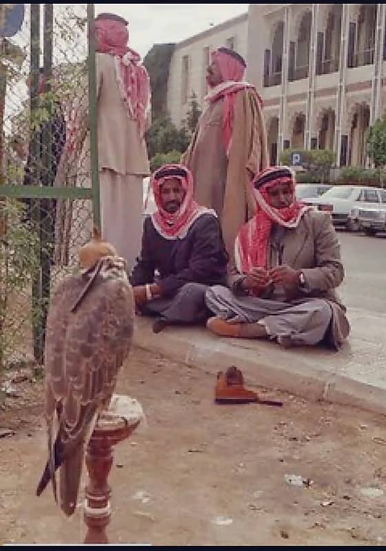 سوق الصقور في الثمانينات الميلادية
