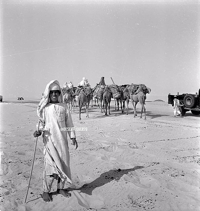 قافلة من الجمال بالقرب من بادية بقيق عام 1947م