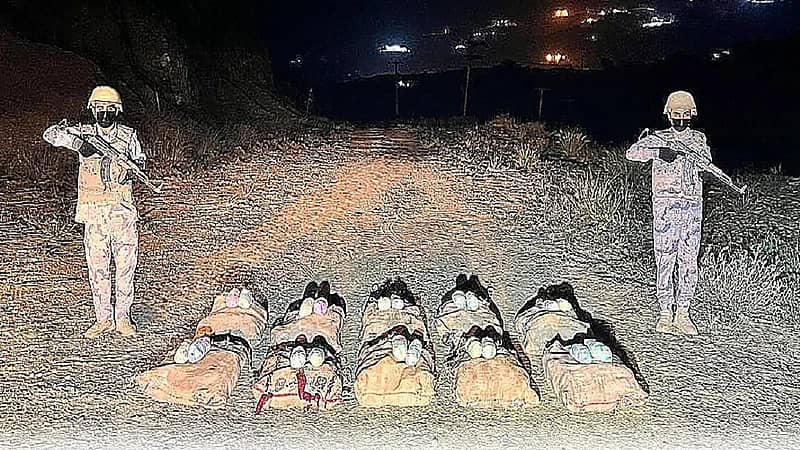 احباط تهريب 175 كيلوجرامًا من نبات القات المخدر