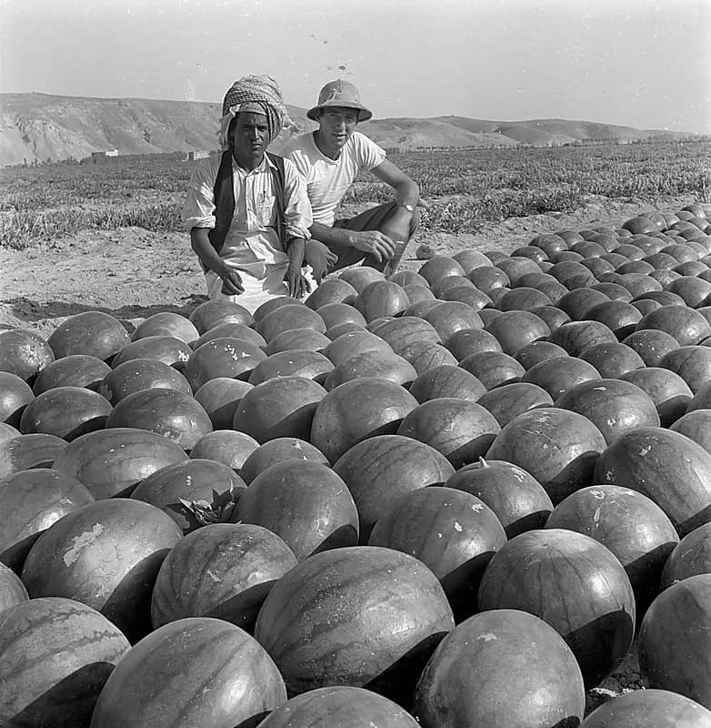 لقطة قديمة من أمام البطيخ بالخرج