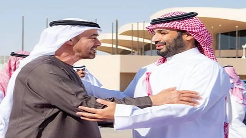 رئيس الإمارات يغادر الرياض وسمو ولي العهد في مقدمة مودعيه .. صور