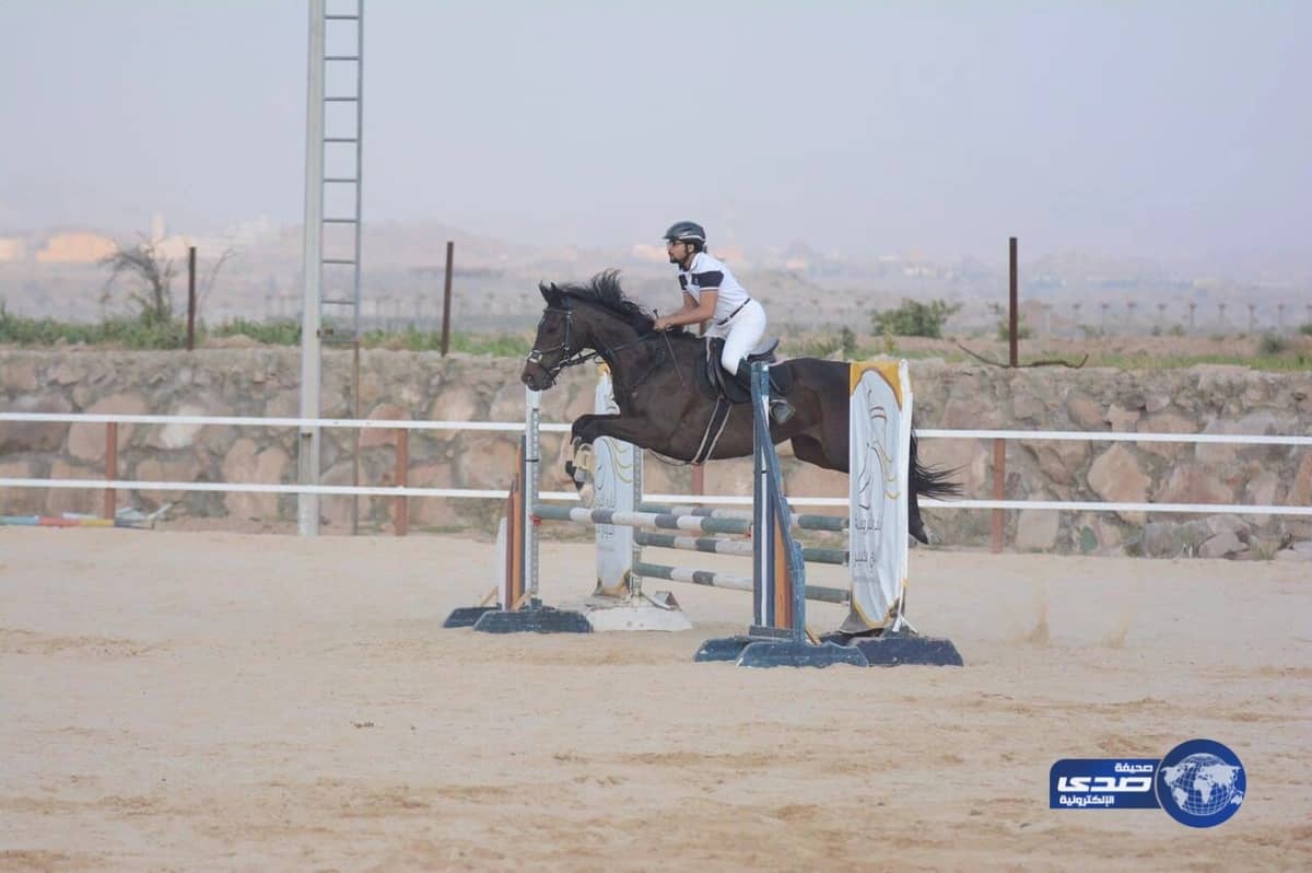 "آل هادي  "يتسيد الأشواط التأهيلية لكأس أمير عسير للفروسية