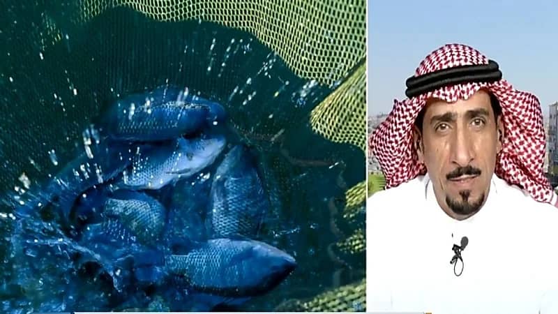 بالفيديو.. مواطن ينجح في الاستزراع السمكي بتبوك