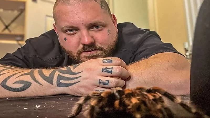 بالصور.. بريطاني يعالج نفسه بـ120 عنكبوتاً في غرفة نومه