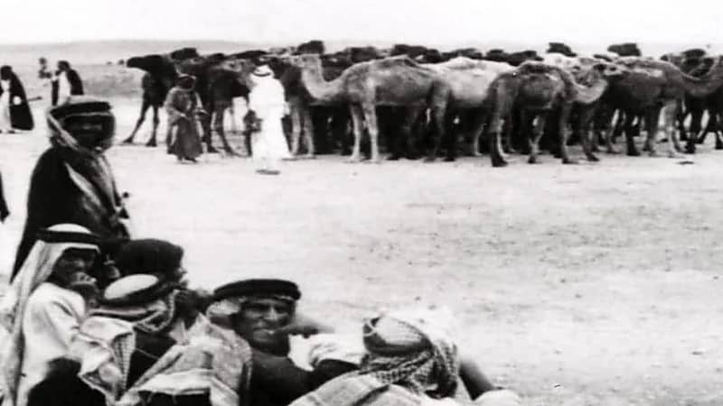 "صورة".. لحظة توزيع الجمال على الأبطال استعدادًا لمعركة توحيد المملكة