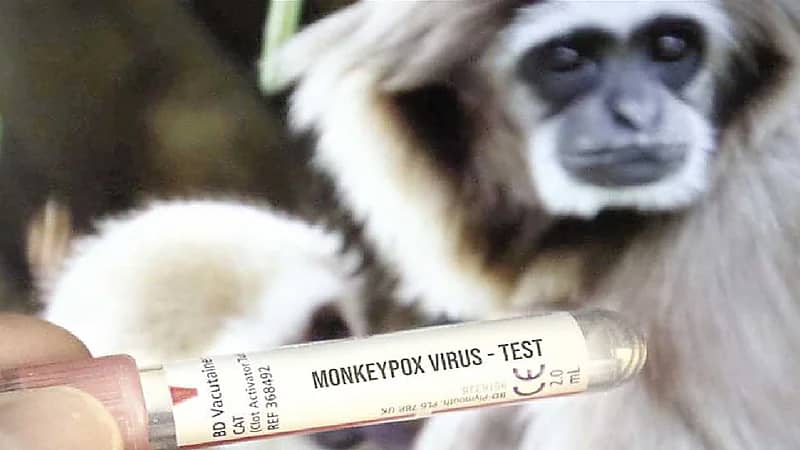 الاتحاد الأوروبي يكشف عن لقاح ضد جدري القردة