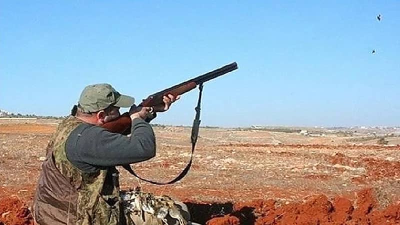 بالفيديو.. "الحياة الفطرية" تفسر سبب زيادة أنواع الصيد بالنظام المحدث