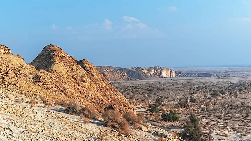 ضبط مخالفة رعي بمحمية الإمام عبدالعزيز بن محمد الملكية