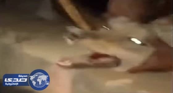 رأس امرأة مقطوعة تحير السلطات في أمريكا بعد 3 سنوات