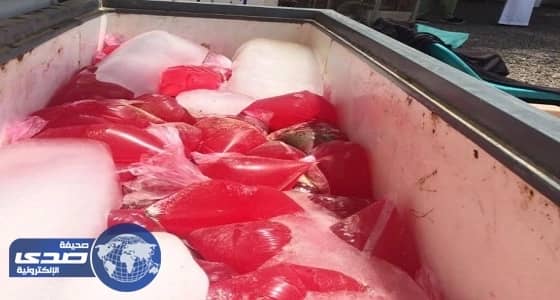 بالفيديو.. مدير الصحة العامة: احتمالية انتهاء الجائحة العام الجاري في هذه الحالة