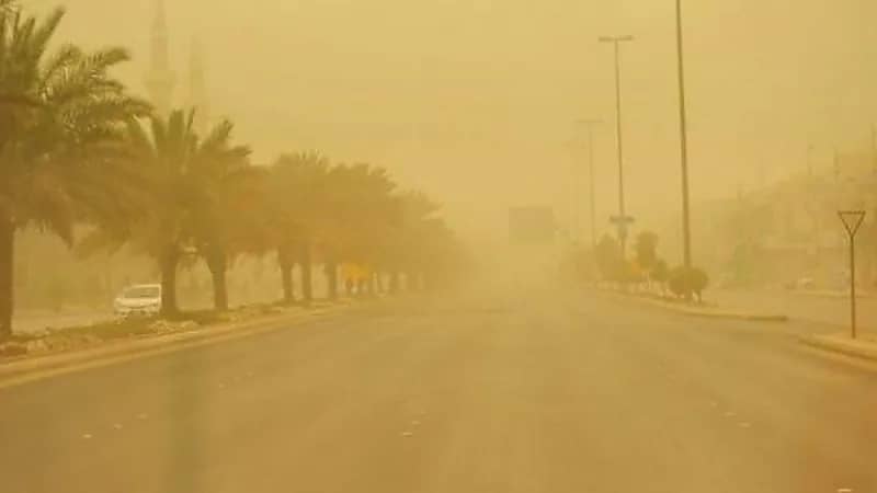 هبوب رياح شديدة تسببت في اقتلاع الأشجار بصبيا 