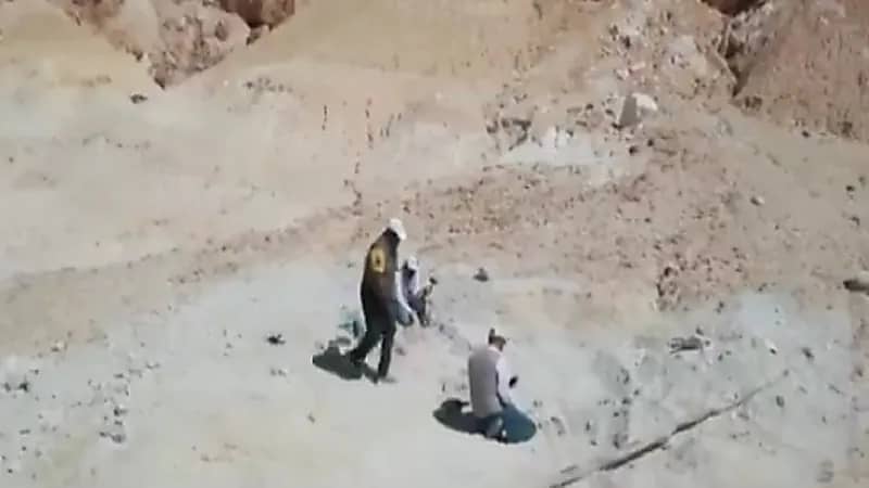 بالفيديو .. إطلاق مشروع المسح الجيولوجي في المملكة خلال أسابيع