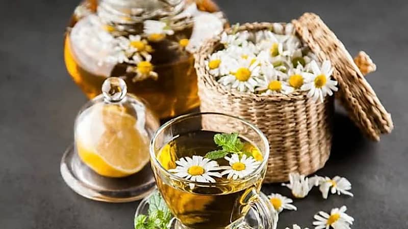 فوائد البابونج للأطفال الرضع وطريقة تحضيره