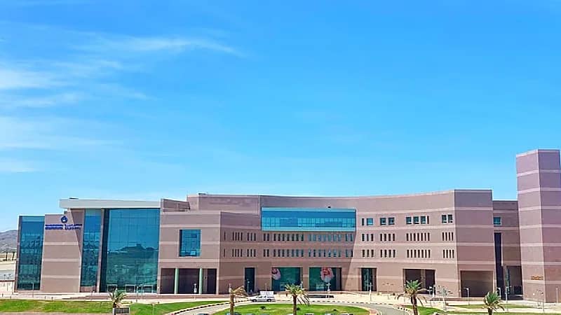 تعليق الدراسة الحضورية ليوم غد بجامعة الباحة