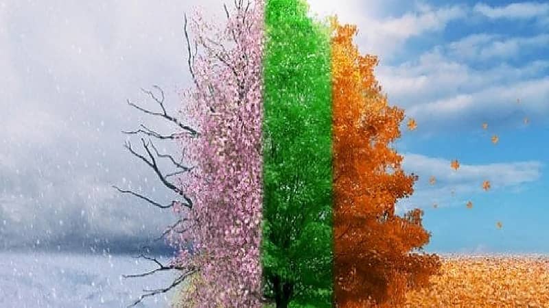 بالفيديو .. أصل تسمية يناير بهذا الاسم