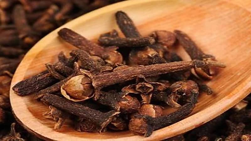 النمر: مضغ العويدي لا يحمي من أمراض القلب