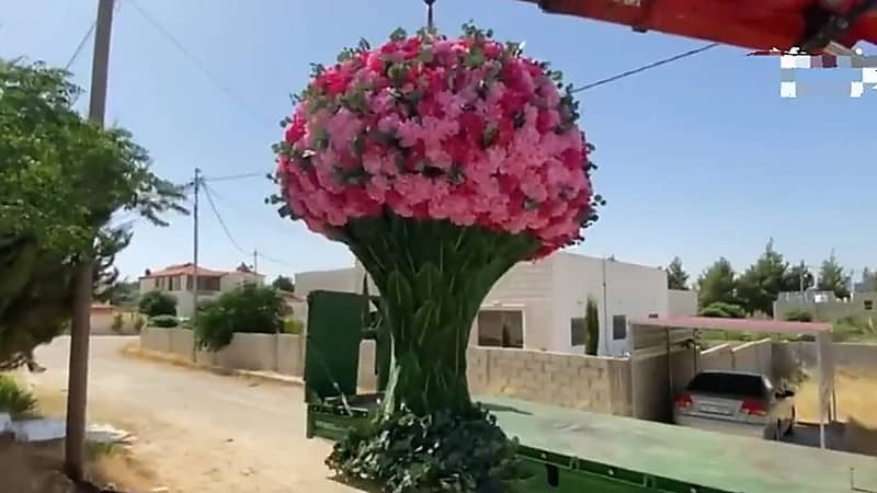 أردني يهدي زوجته باقة زهور قيمتها 12 ألف دولار - فيديو