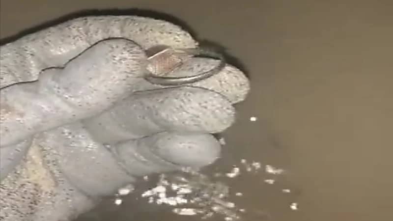 شخص يوثق لحظة عثوره على خاتم في البحر داخله سحر!.. فيديو