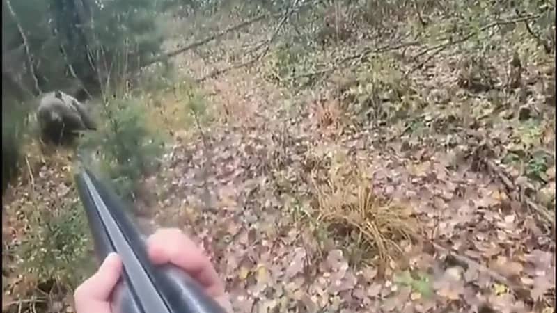 مشهد يحبس الأنفاس لحظة هجوم دب على أحد الأشخاص.. فيديو