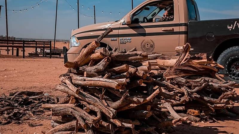 ضبط 5 مخالفين لنظام البيئة لنقلهم وبيعهم وتخزينهم حطبًا محليًا