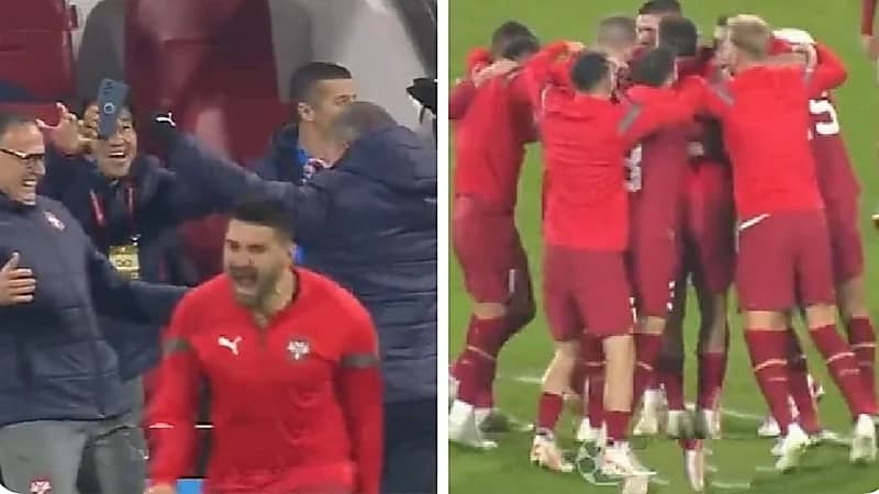 فرحة جنونية من ميتروفيتش بعد التأهل إلى اليورو .. فيديو