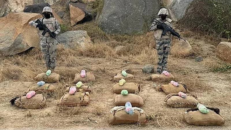 إحباط تهريب 60 كيلوجرامًا من نبات القات المخدر بجازان