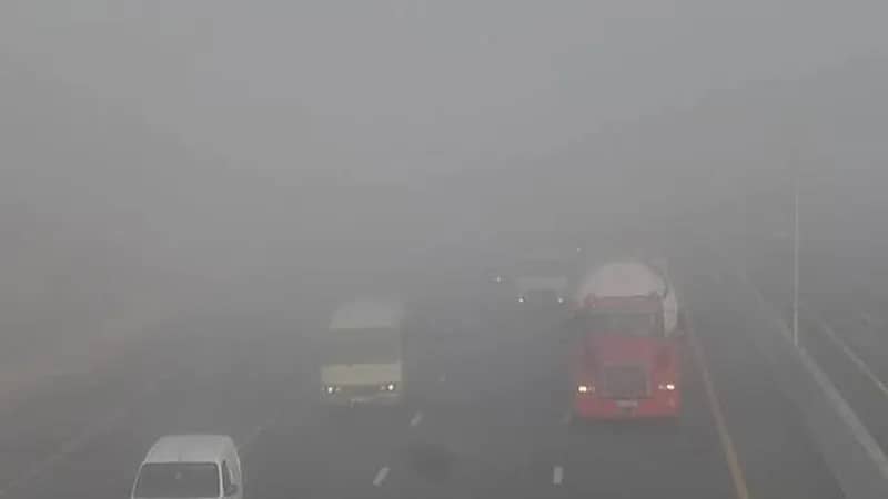 ‎مصرية تضع طفليها التوأم على الطريق بسبب الضباب