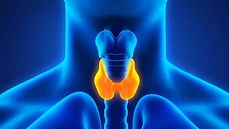 تحذير لمرضى الغدة الدرقية: أطعمة شائعة قد تُضعف فعالية العلاج