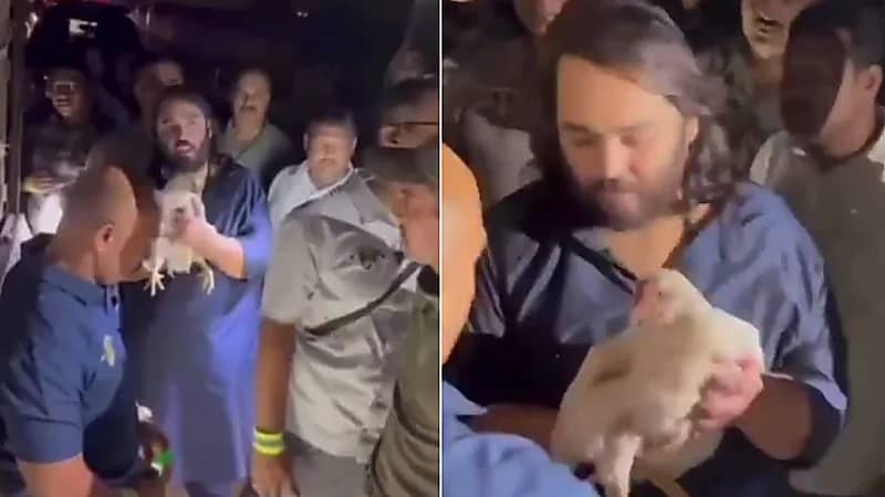 ابن أغنى رجل في الهند ينقذ 250 دجاجة من الذبح ويرسلها إلى الملجأ.. فيديو