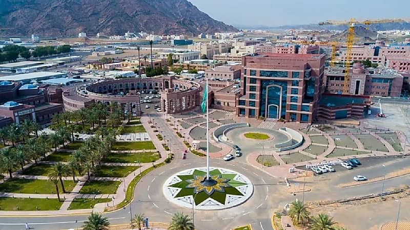 جامعة طيبة تفتح باب القبول لبرامج الدراسات العليا