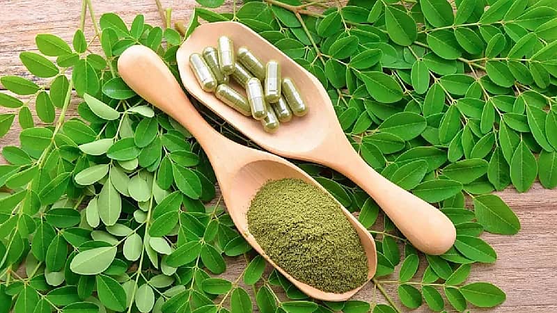 فوائد شجرة المورينجا والطريقة المثالية للاستفادة من أوراقها.. فيديو